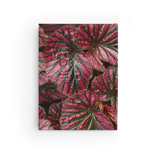 Pink Begonia Journal — Ruled Lined Writing Notebook