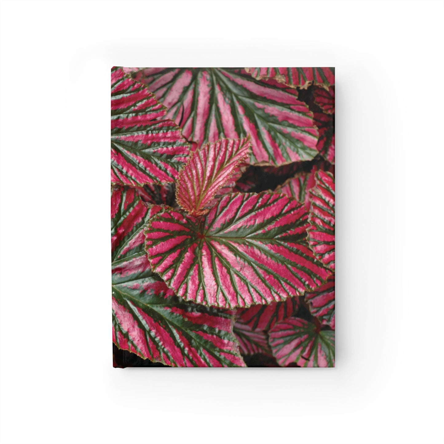 Pink Begonia Journal — Ruled Lined Writing Notebook
