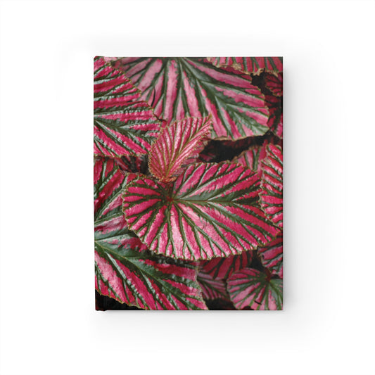 Pink Begonia Journal — Ruled Lined Writing Notebook