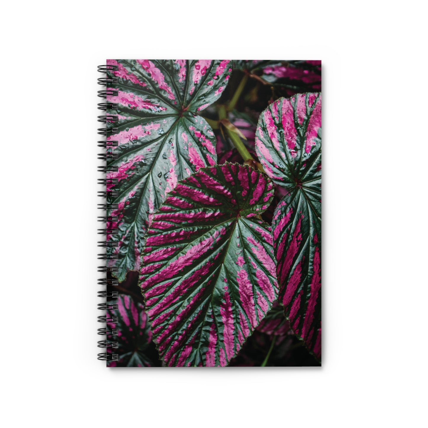 Begonia Spiral Notebook — Ruled Journal