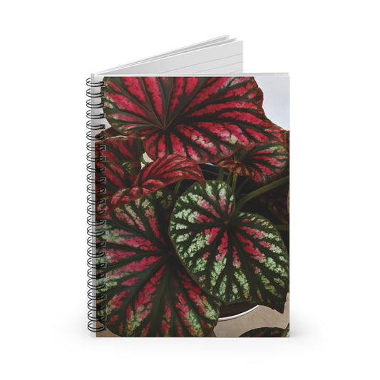 Begonia Harmony Spiral Notebook — Ruled Journal for Plant Lovers