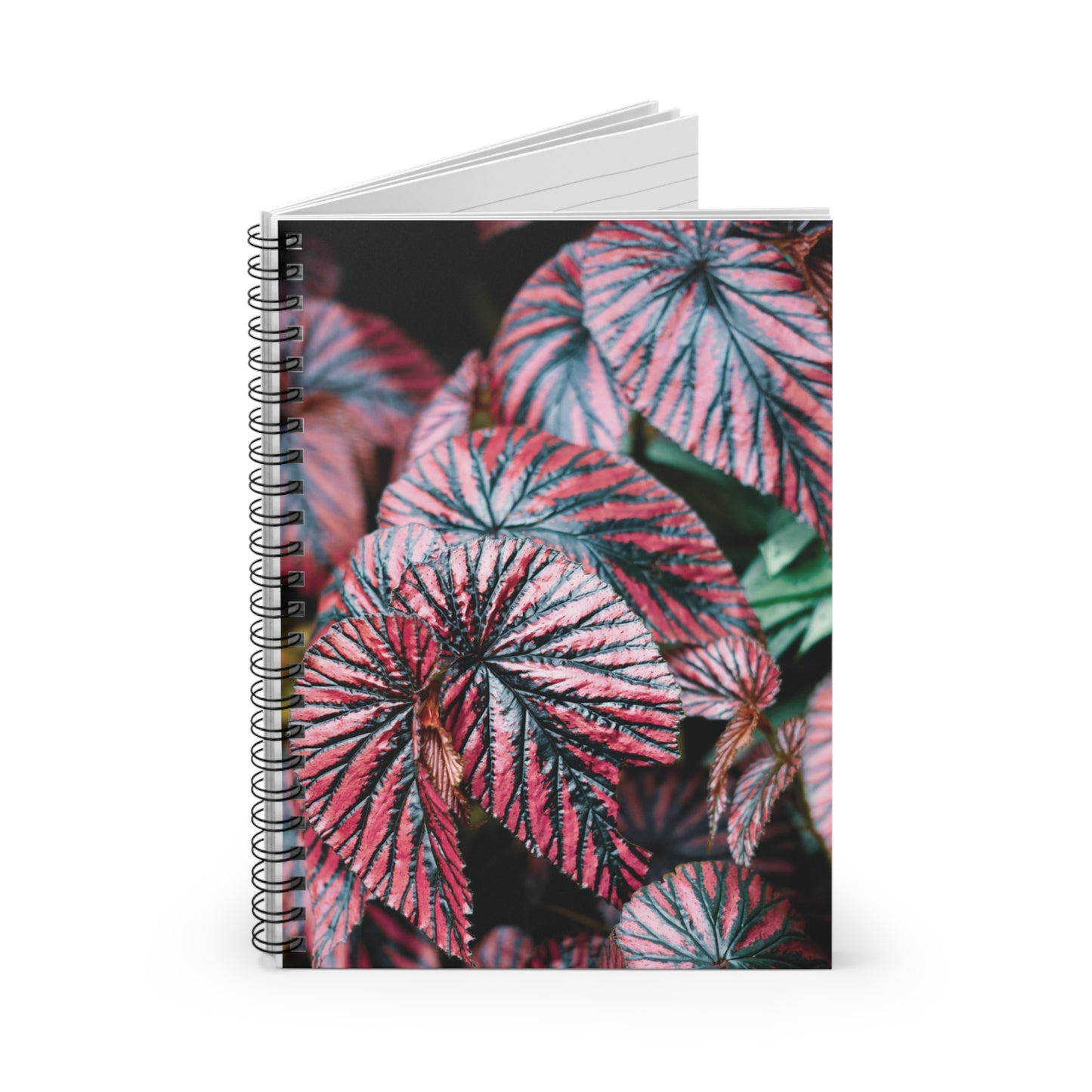 Begonia Brevirimosa Spiral Notebook — Pink Begonia Leaves Ruled Journal