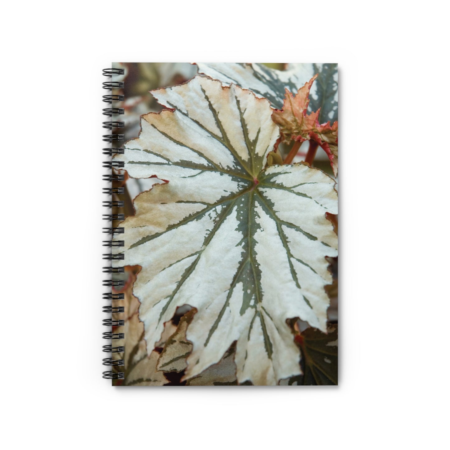 Begonia Looking Glass Spiral Notebook — Ruled Journal