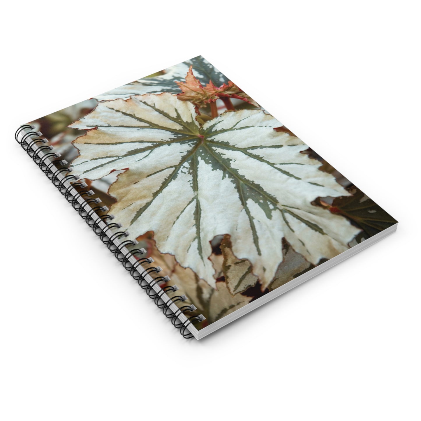 Begonia Looking Glass Spiral Notebook — Ruled Journal