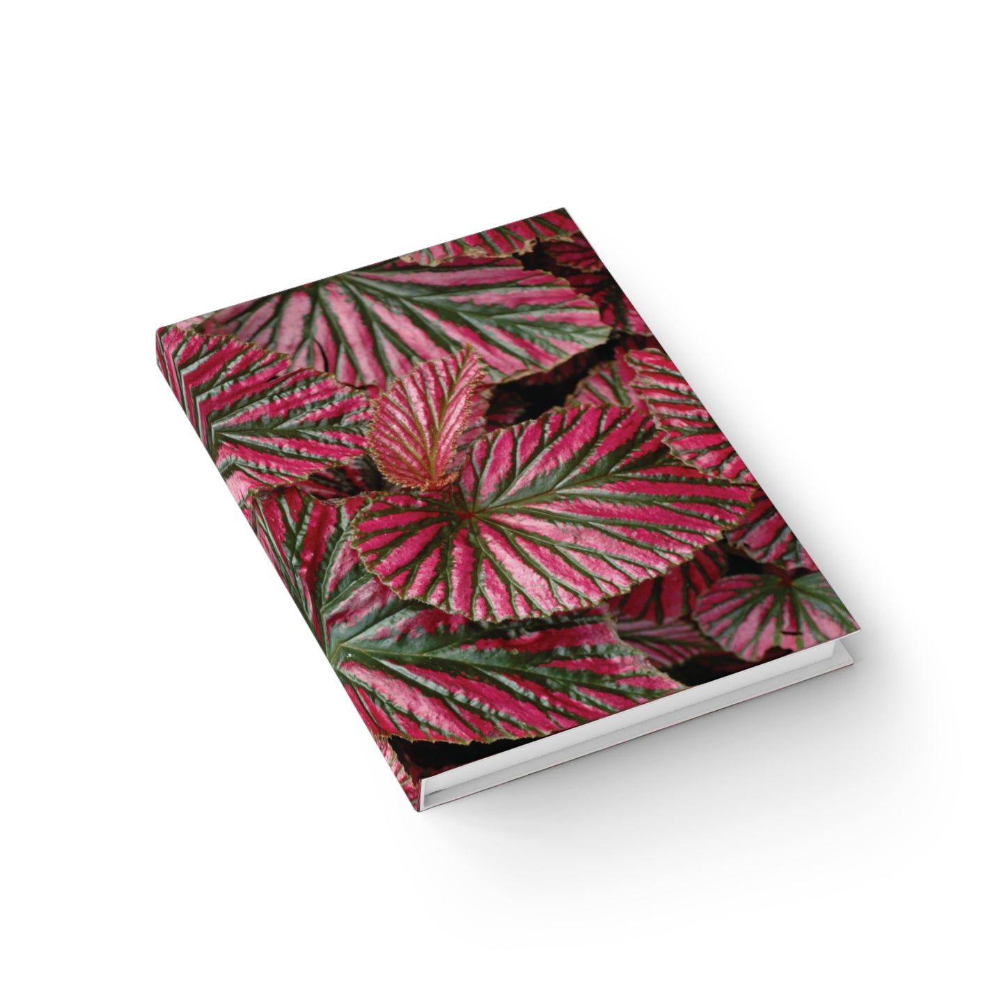 Pink Begonia Journal — Ruled Lined Writing Notebook