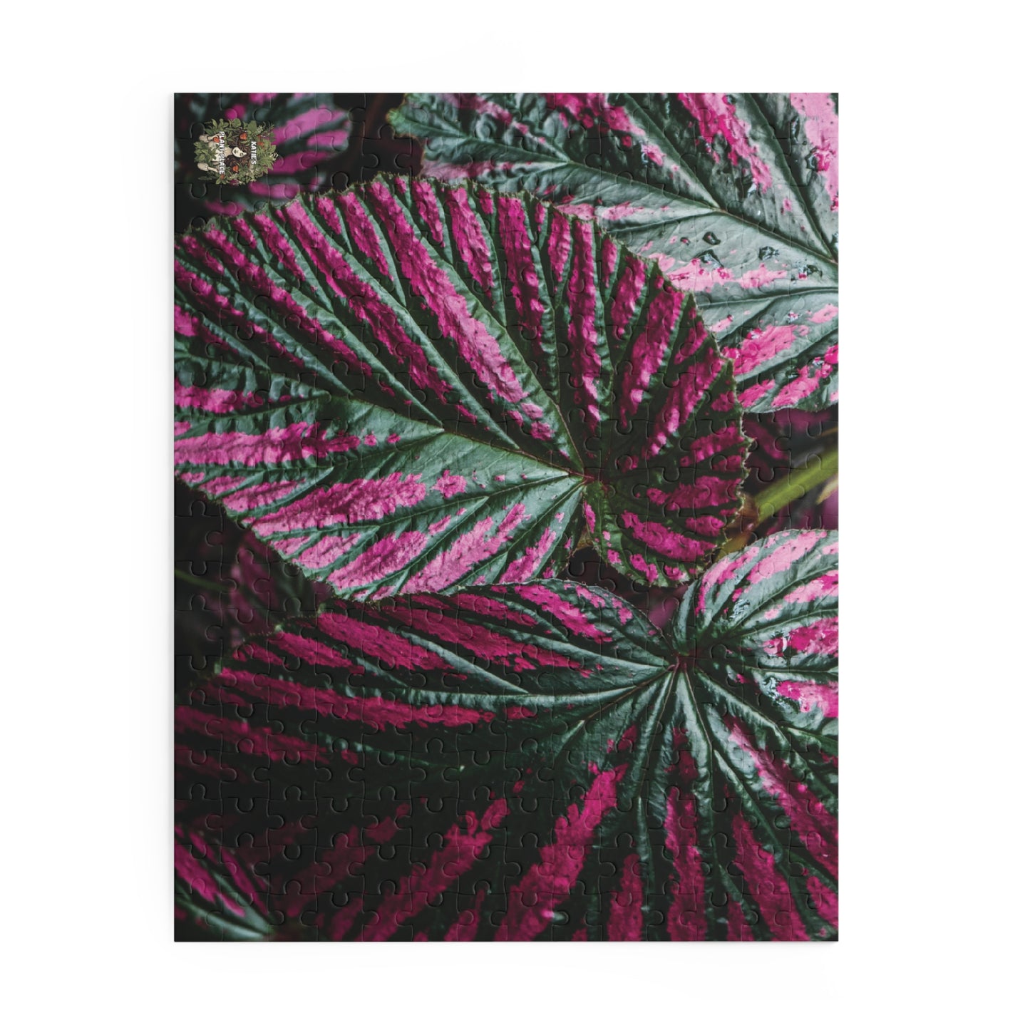 Begonia Leaf Puzzle — Pink & Green Begonia 120/252/500-Piece Jigsaw