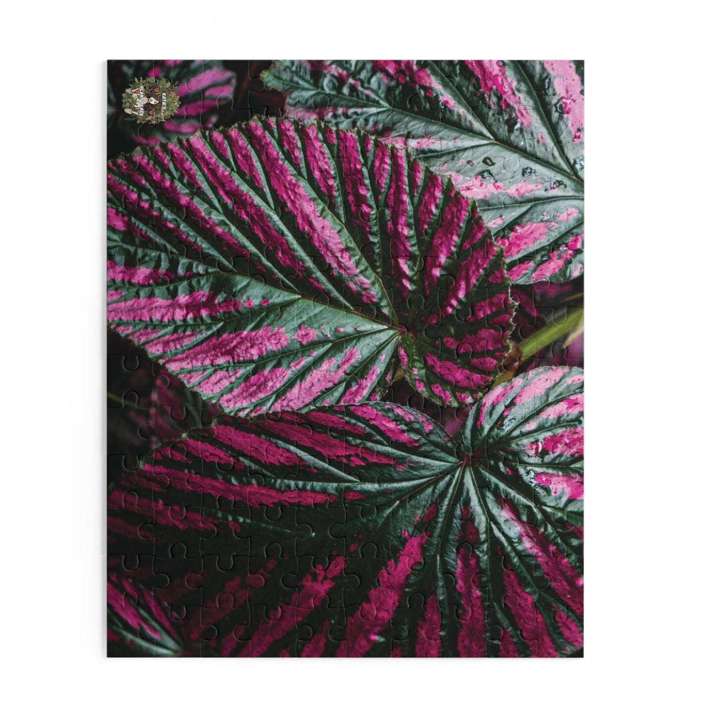 Begonia Leaf Puzzle — Pink & Green Begonia 120/252/500-Piece Jigsaw