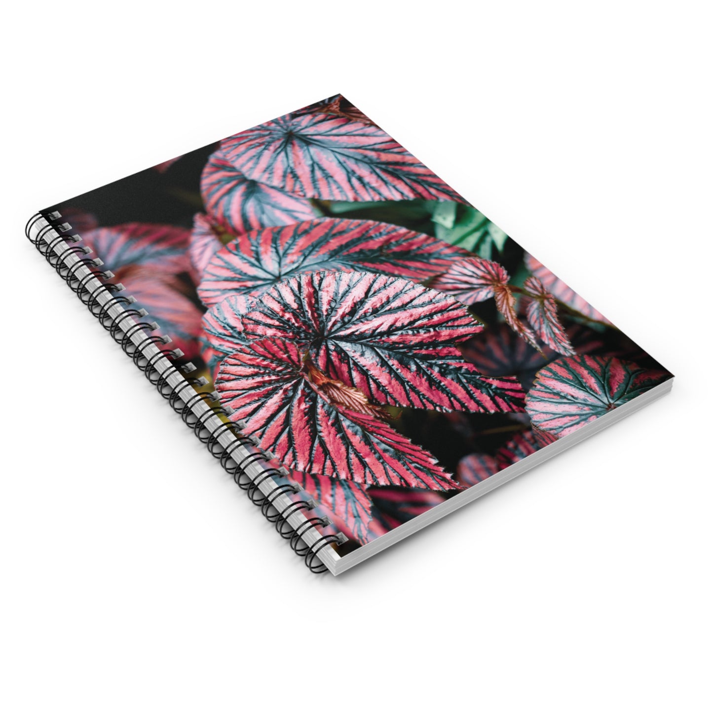 Begonia Brevirimosa Spiral Notebook — Pink Begonia Leaves Ruled Journal