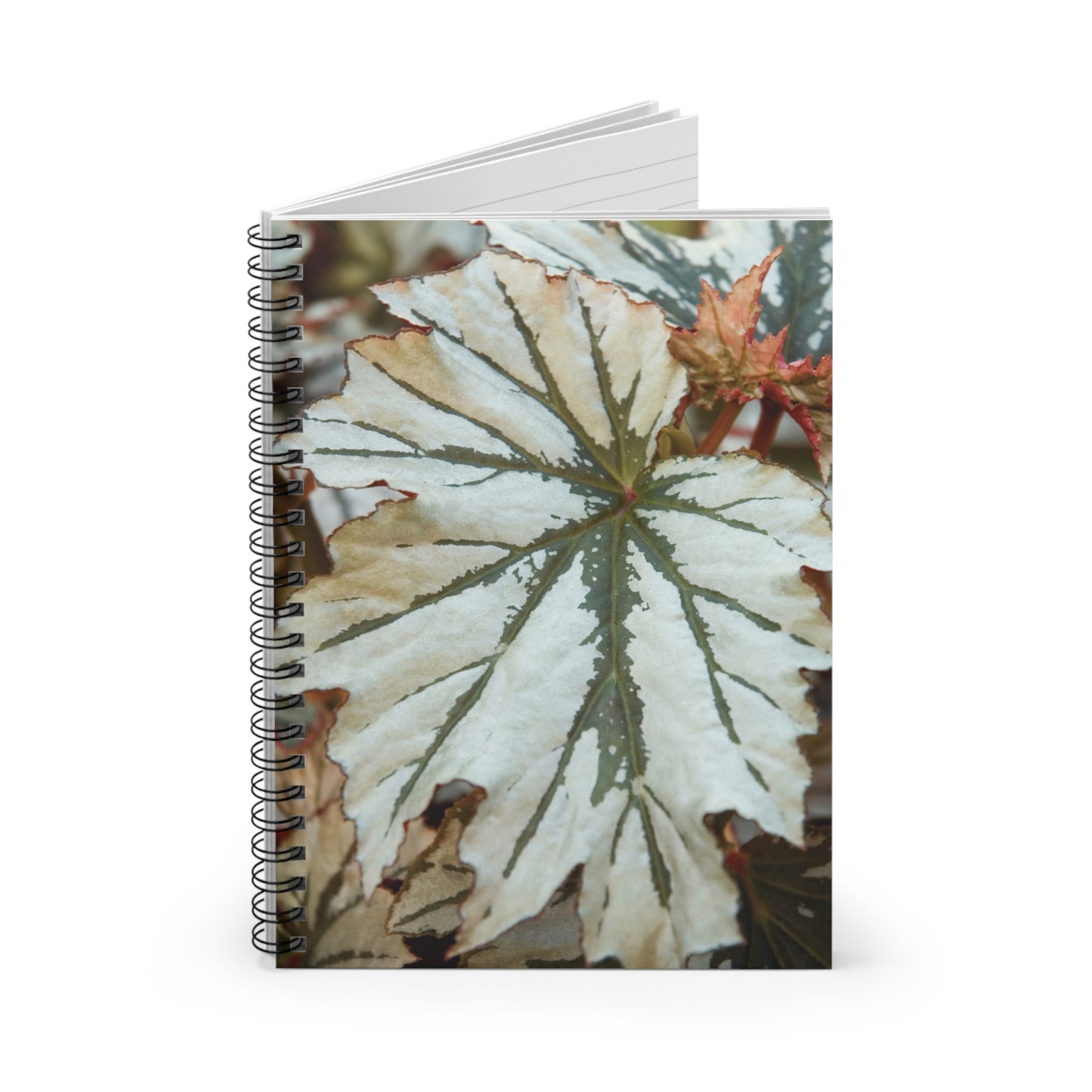 Begonia Looking Glass Spiral Notebook — Ruled Journal