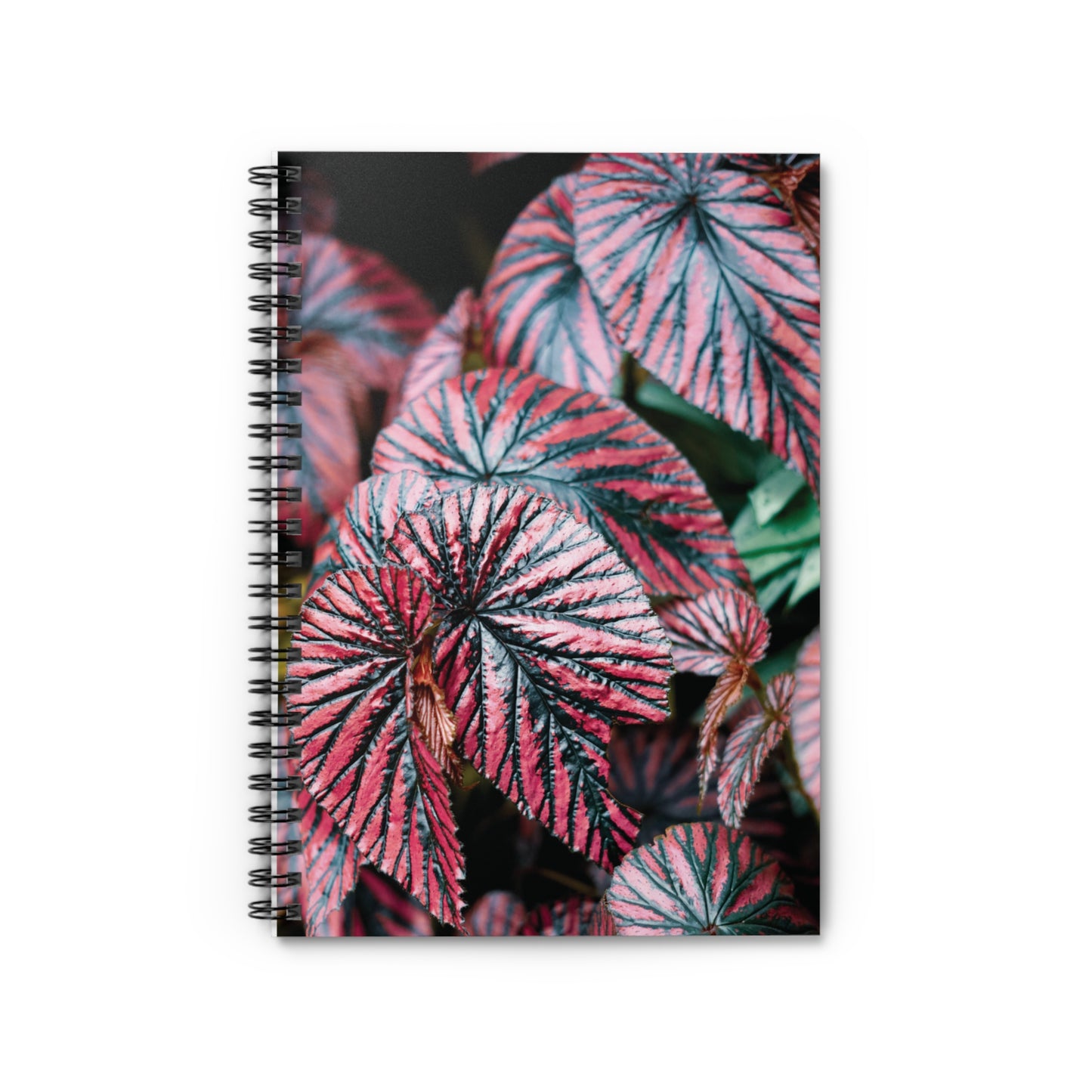 Begonia Brevirimosa Spiral Notebook — Pink Begonia Leaves Ruled Journal