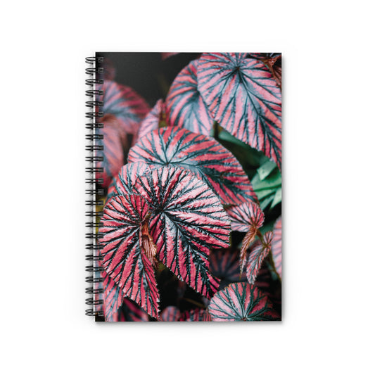 Begonia Brevirimosa Spiral Notebook — Pink Begonia Leaves Ruled Journal